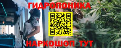 mdpv Лесосибирск