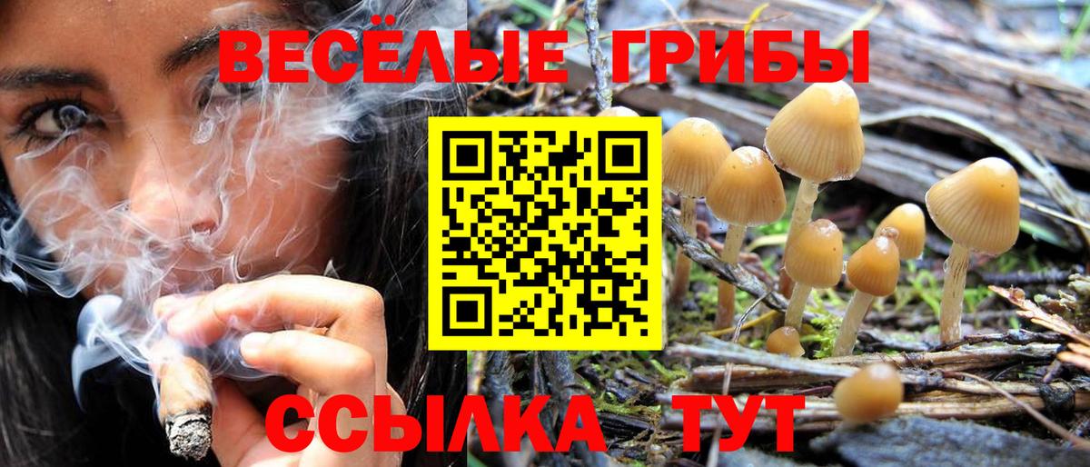 Гудермес  Псилоцибиновые грибы мухоморы  Вход с VPN 