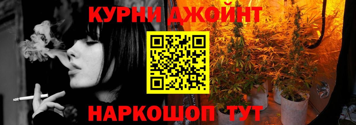Марихуана White Widow  Шишки марихуана индика  МАРИХУАНА ГИДРОПОН  Гудермес  МАРИХУАНА планчик  Вход с VPN 